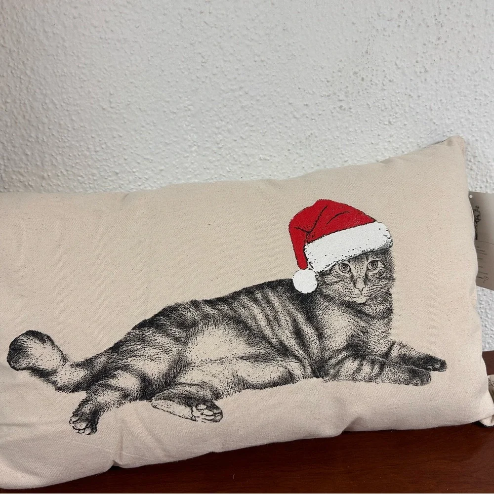 Eric & Christopher Christmas Cat Holiday Pillow‎ with Red Santa Hat NWT